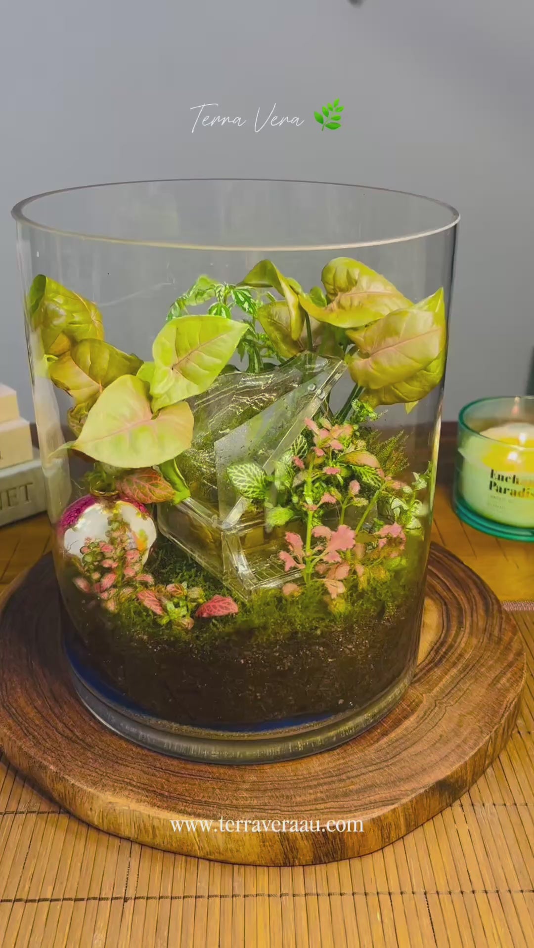 Piano Terrarium-Antique Limoges Vase Miniature Garden Handmade Gift Sydney