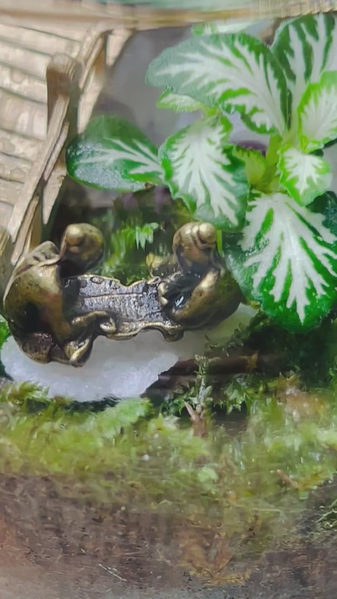 Mini Baby Buddha Terrarium – Handmade Zen Decor with Glowing Pebbles