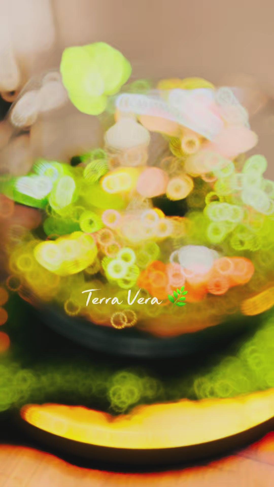 Buddha Terrarium -Zen Indoor Plan with Glowing Pond | Handmade Sydney