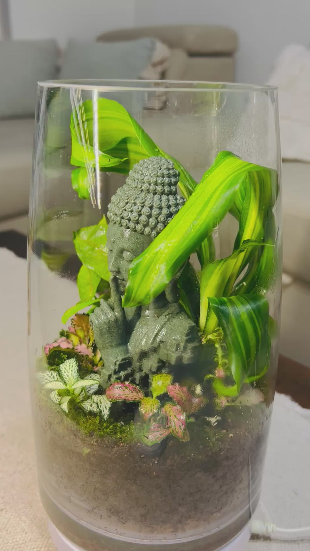 Serenity Garden/Buddha closed terrarium/Terra Vera