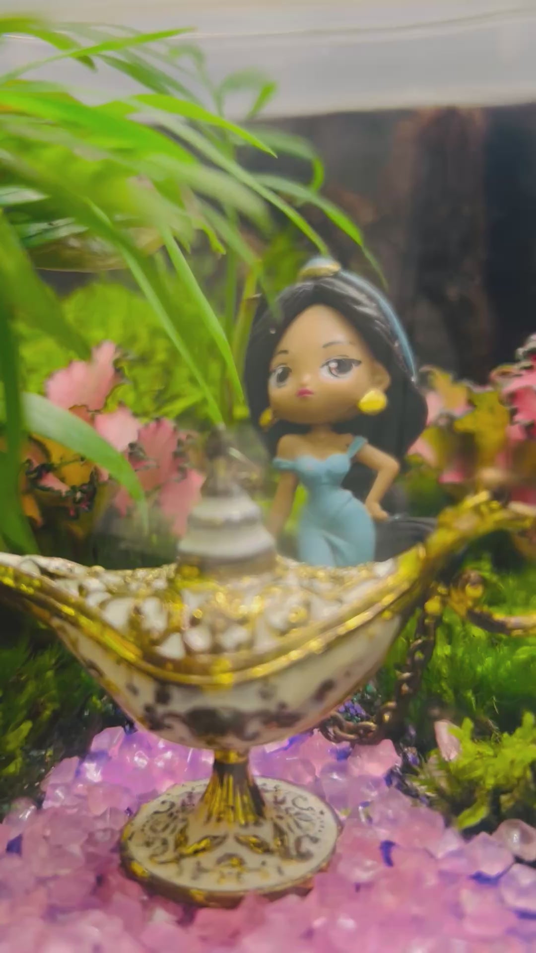 Jasmine & Aladdin Lamp Terrarium