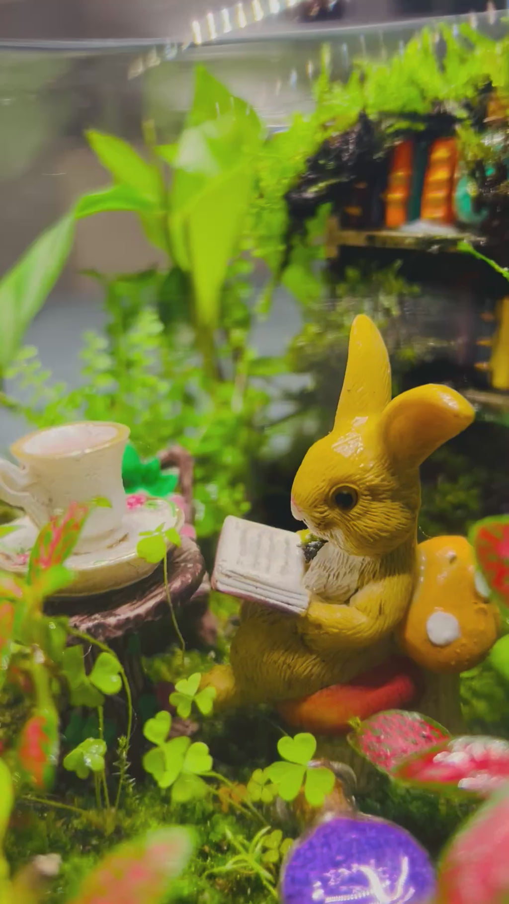 Library Terrarium with Bunny & Hedgehog