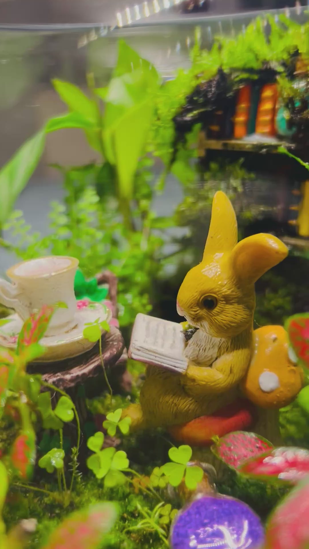 Library Terrarium with Bunny & Hedgehog