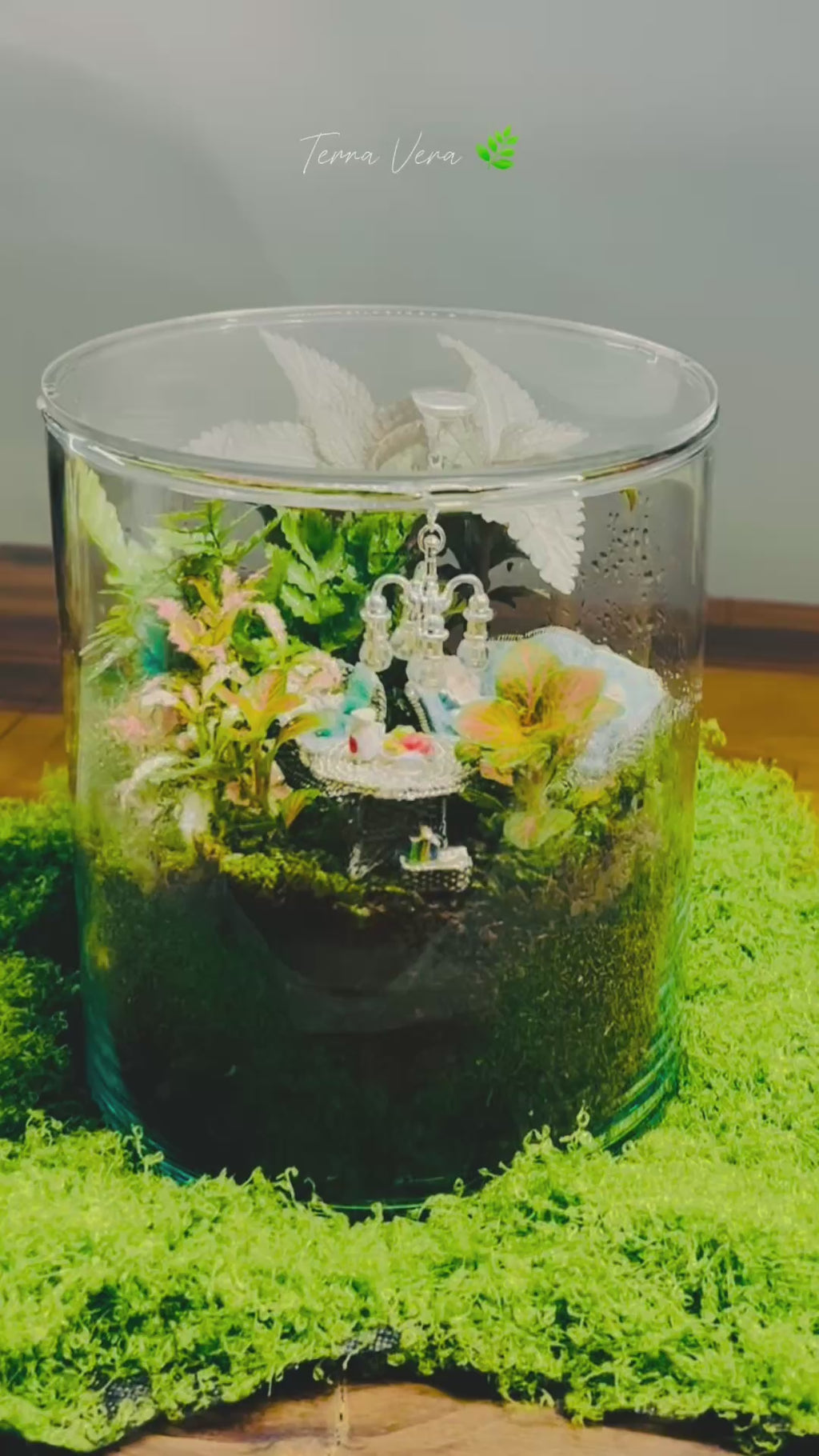 Luxury Living Room Terrarium Gift | Handmade Miniature Garden for Living Room Decor Sydney