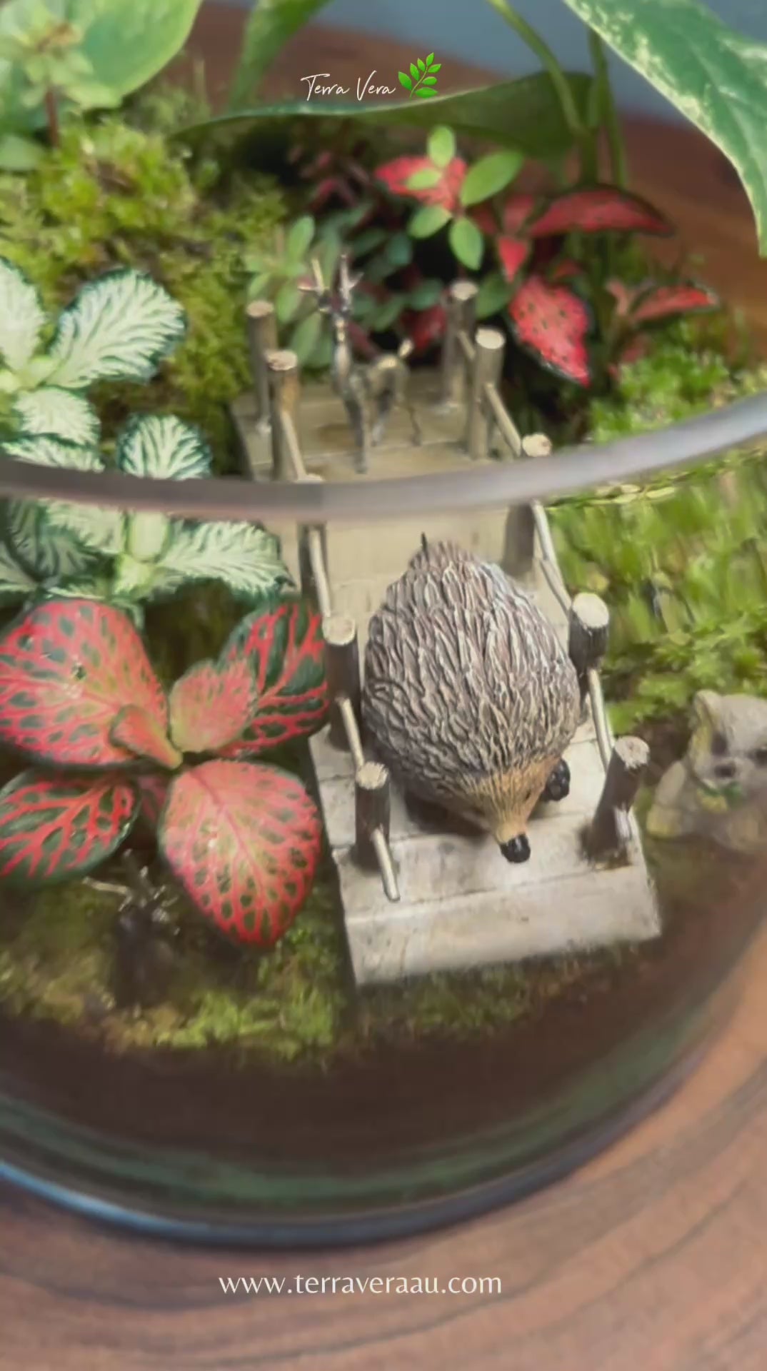 The Forest Crossing | Handmade Living Terrarium