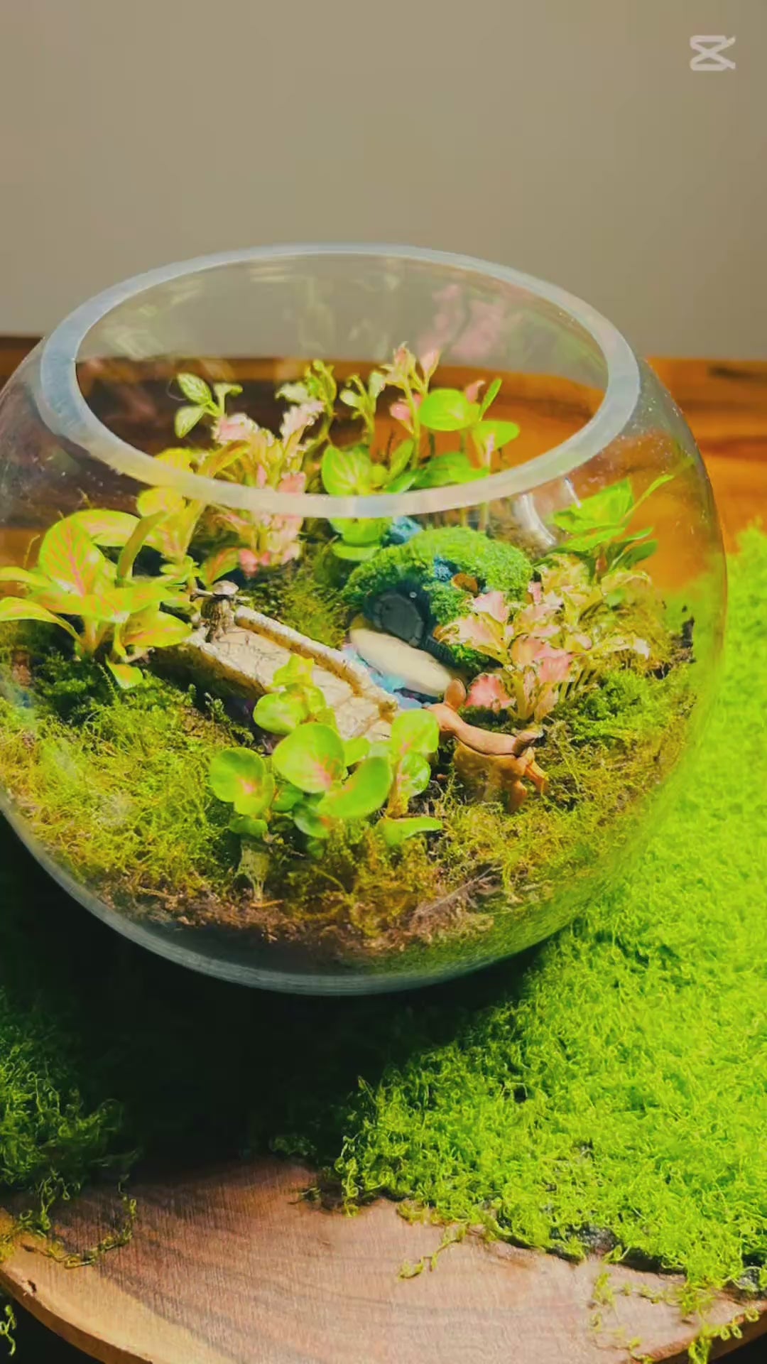 The Glowbridge Garden -Enchanted Glow Garden Terrarium – Miniature Fairy Bridge World with Living Plants