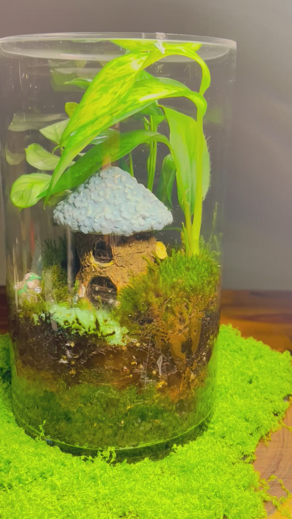 Glowing Cottage Terrarium- Handmade Miniature Garden with Glowing Pebbles Sydney