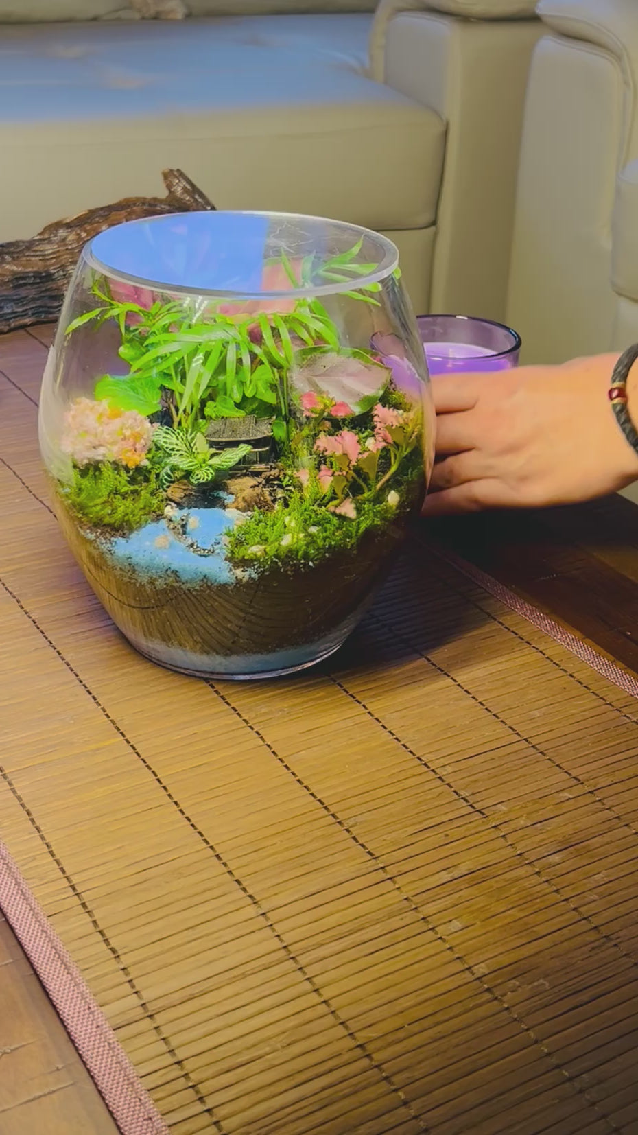 Temple Terrarium