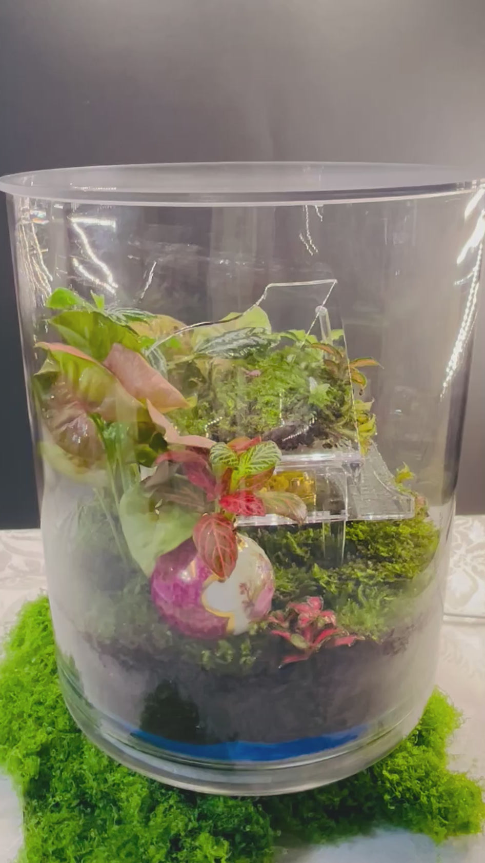 Melody of Time Terrarium