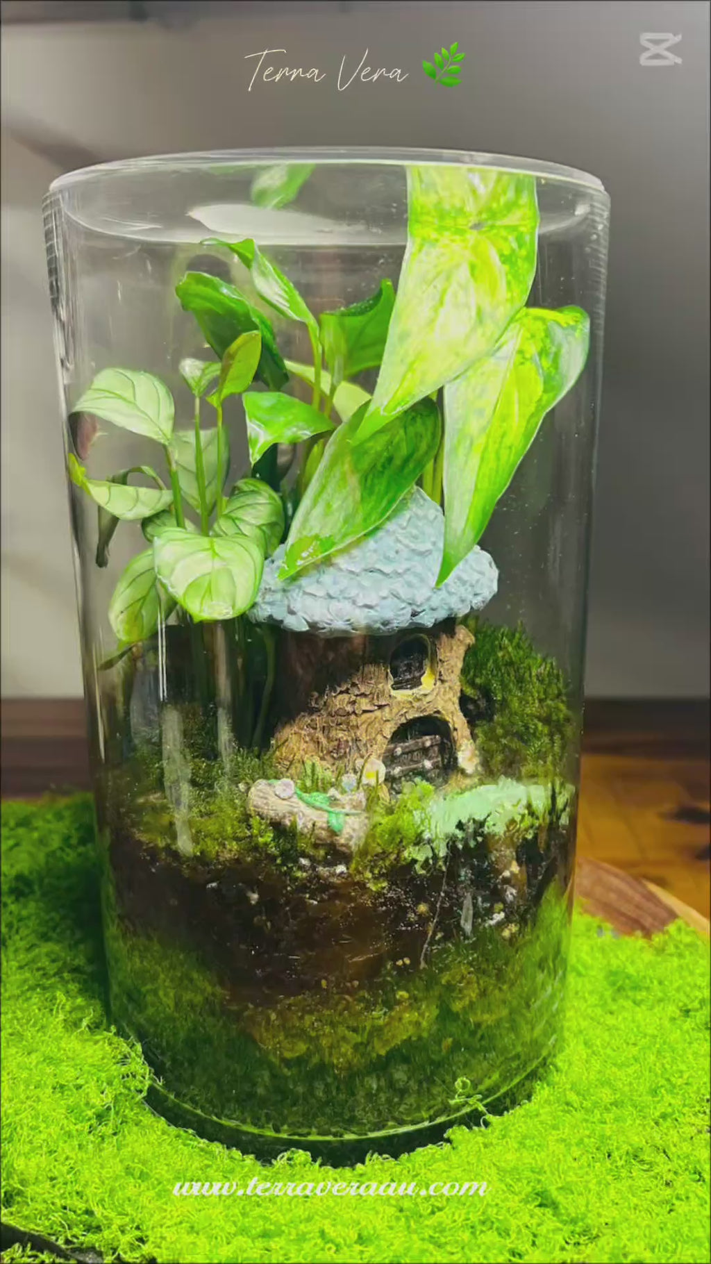 Glowing Cottage Terrarium- Handmade Miniature Garden with Glowing Pebbles Sydney