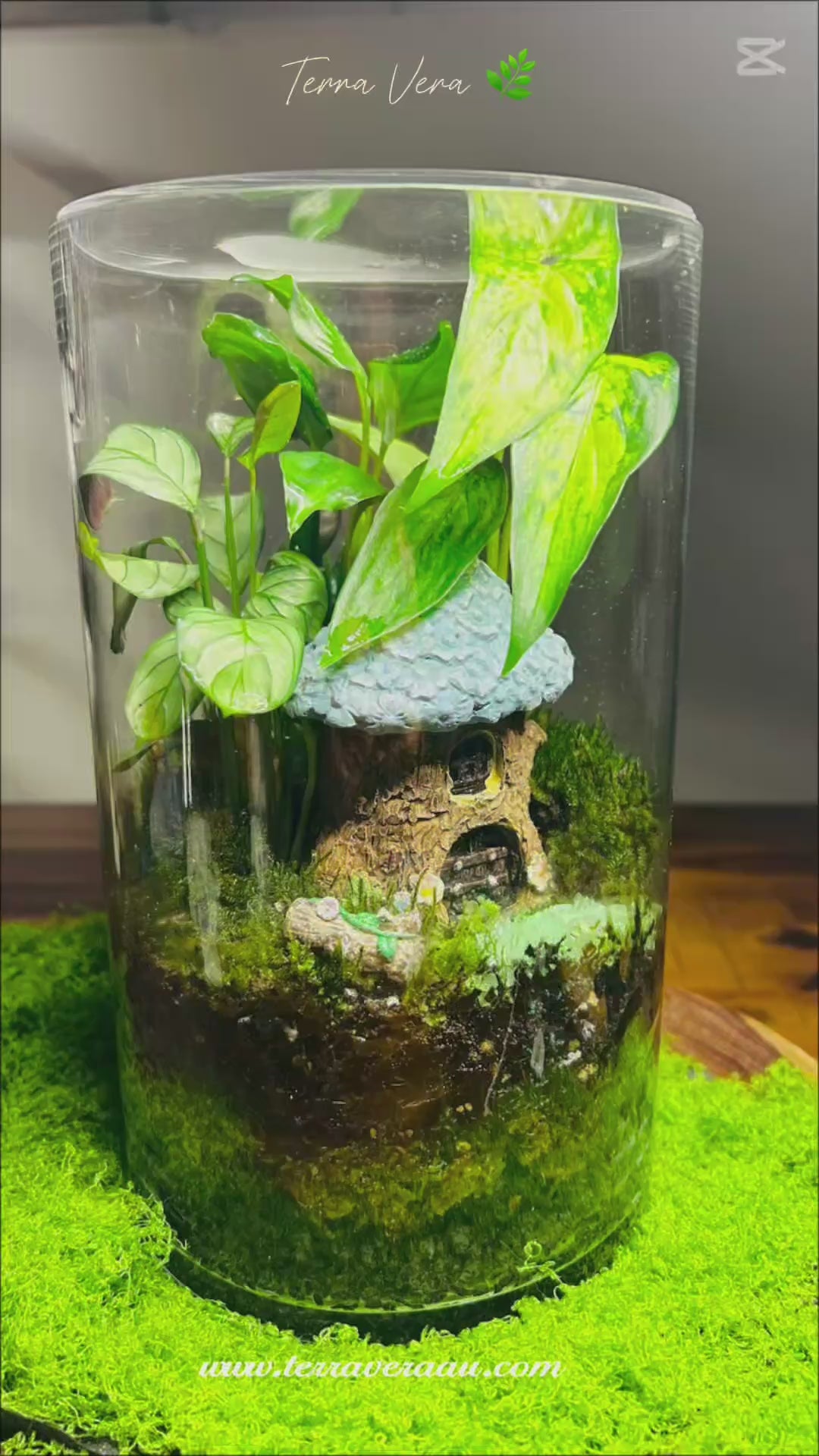 Glowing Cottage Terrarium- Handmade Miniature Garden with Glowing Pebbles Sydney