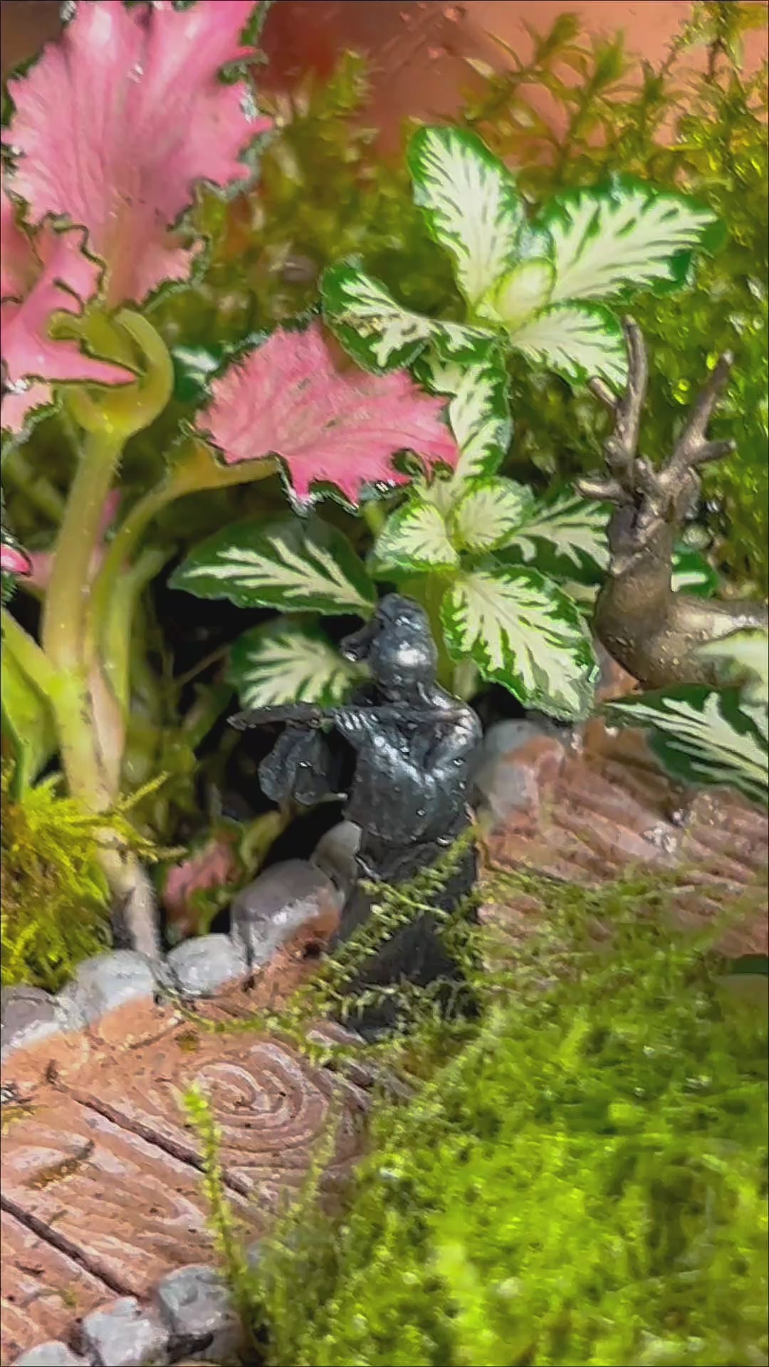 Pathway Garden – Blown Glass Terrarium on Driftwood