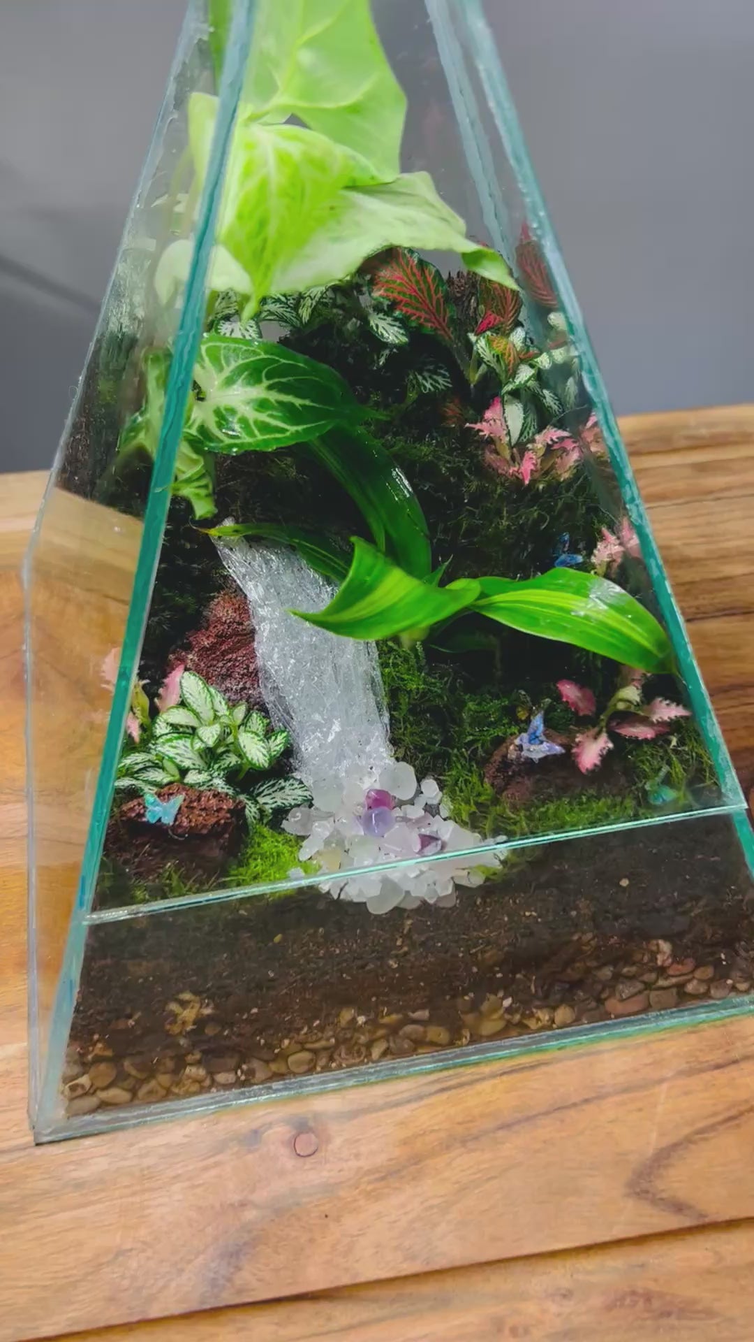 Crystal Pyramid Terrarium – Handmade Living Miniature World (Sydney)  You don’t buy this terrarium. You adopt a tiny living world.