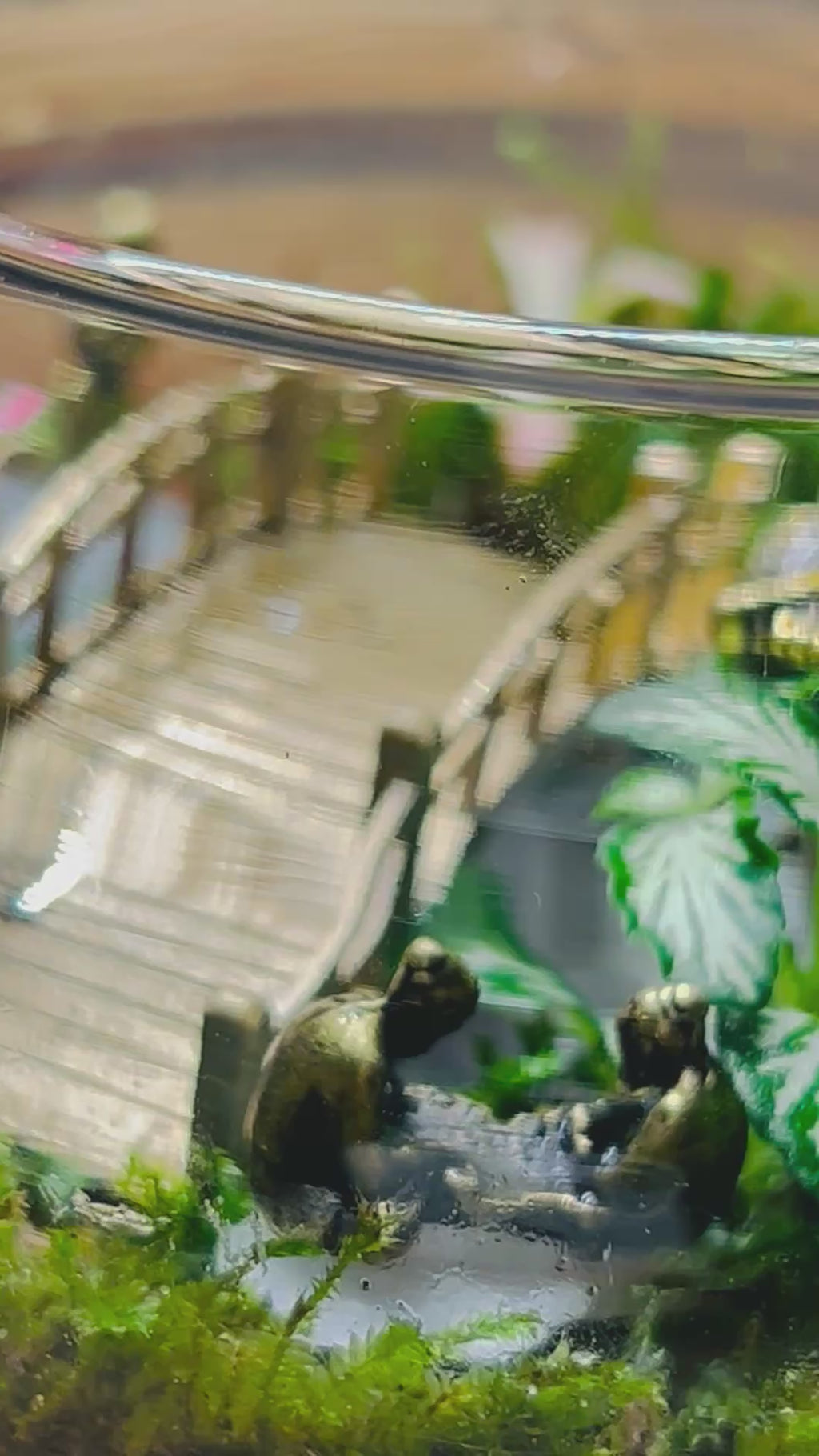 Mini Baby Buddha Terrarium – Handmade Zen Decor with Glowing Pebbles