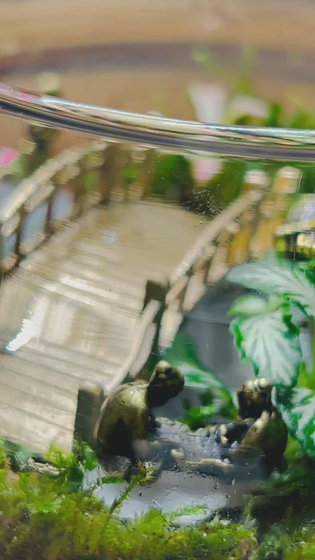 Mini Baby Buddha Terrarium – Handmade Zen Decor with Glowing Pebbles