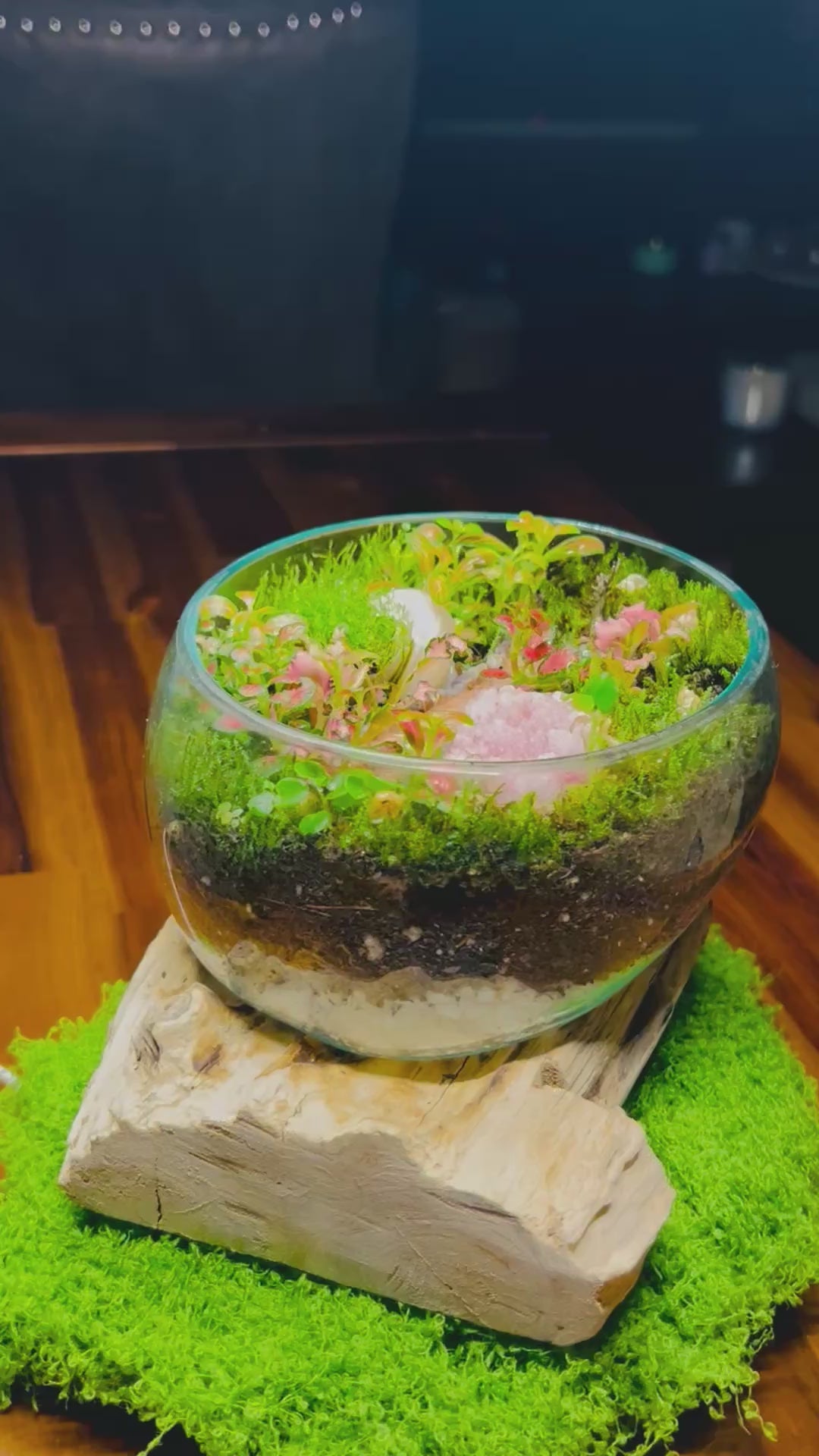 Enchanted Pathway Terrarium-driftwood glass blown terrarium