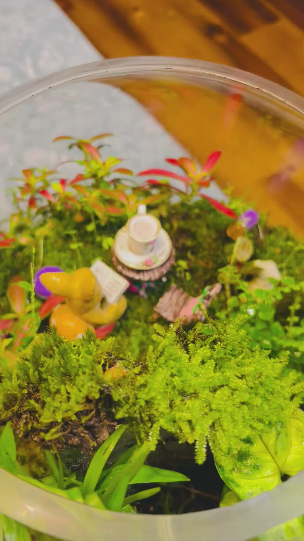 Library Terrarium with Bunny & Hedgehog