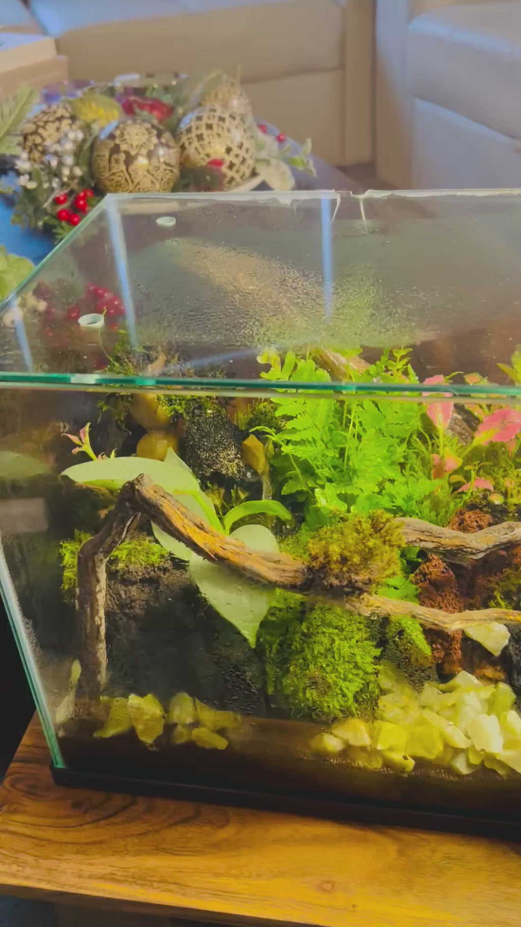 Handmade Waterfall Forest Terrarium with Live Moss, Ferns & Natural Driftwood | Unique Indoor Miniature Landscape