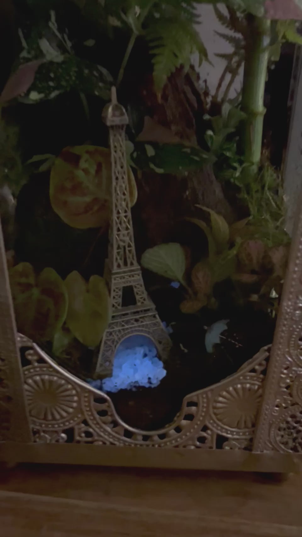 Paris in Bloom/Turkish  Lantern Open Terrarium