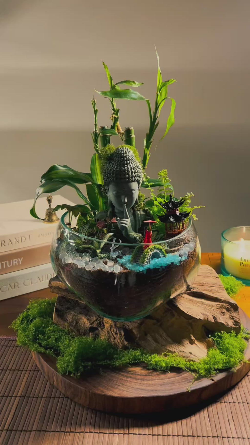 Buddha Terrarium -Zen Garden in Glass with Driftwood Handmade Sydney
